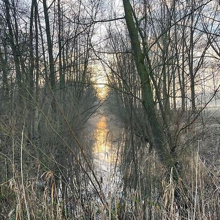 Houseboot Kingfisher, Lake View Biddinghuizen Buitenkant foto